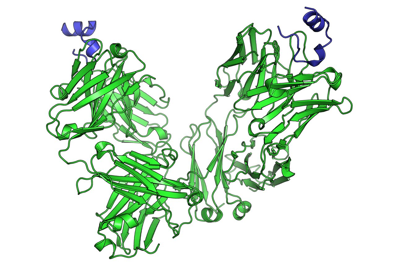 A multimodal murmuration for immunotherapy