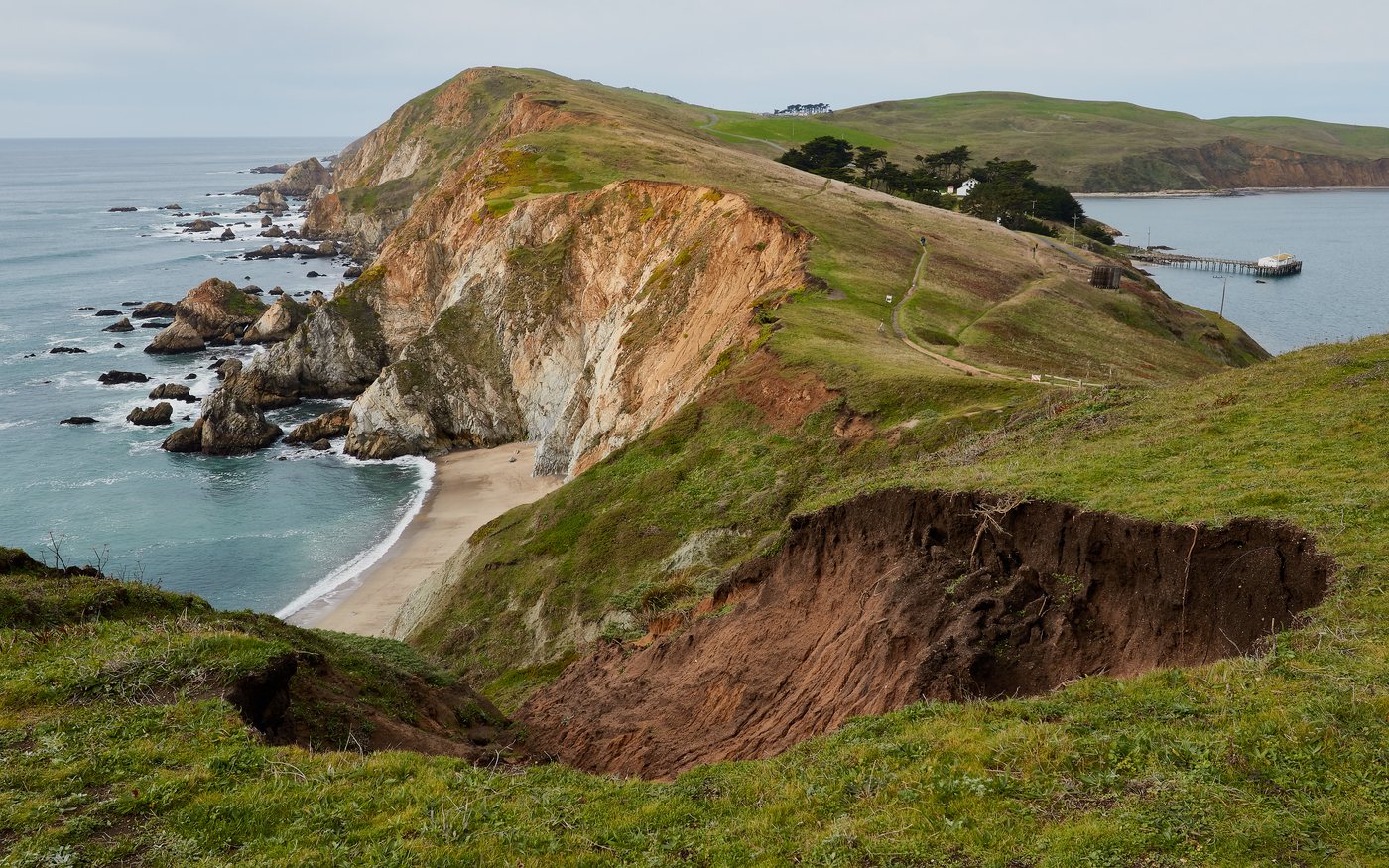 Il y a 200 millions d’années, un réchauffement climatique enflammait des savanes de fougères