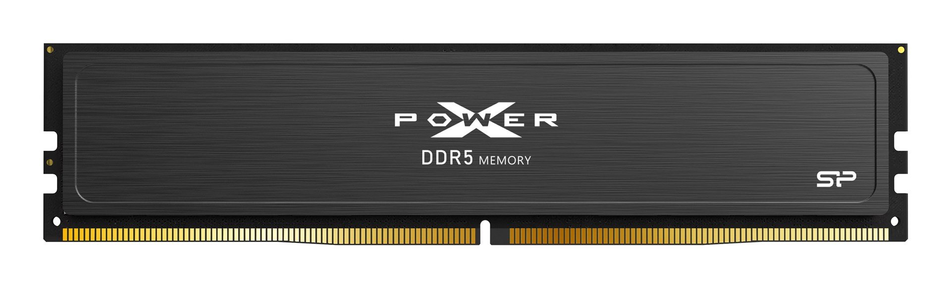 Silicon Power XPOWER Pulse Memory, 16 GB, DDR5, 6400 MHz, ECC - Image 1