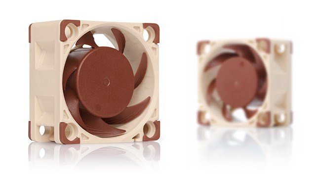 Noctua NF-A4x20 PWM Fan, 4 cm, Bronze / Beige - Thumbnail 5