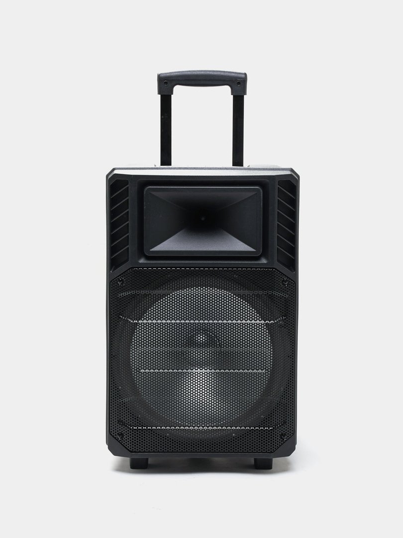 Sing-E ZQS12132 Speaker, 12 Inch, Karaoke, DJ, Rechargeable, Bluetooth 5.0 - Thumbnail 4