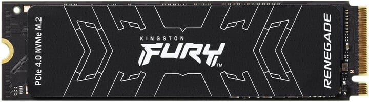 Kingston SSD FURY Renegade SSD, M.2, 1 TB - Image 1