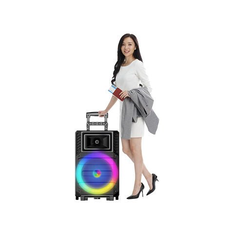 Sing-E ZQS12132 Speaker, 12 Inch, Karaoke, DJ, Rechargeable, Bluetooth 5.0 - Thumbnail 2