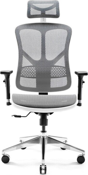 Diablo V-Basic Chair, Grey - Image 1