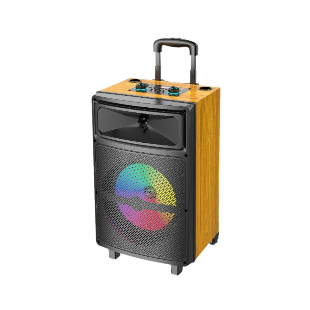 Sing-E ZQS12139 Speaker, 40W, 12" Subwoofer, with Microphone - Image 1
