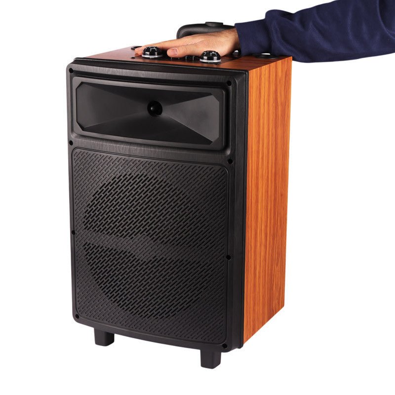 Sing-E ZQS12139 Speaker, 40W, 12" Subwoofer, with Microphone - Thumbnail 3