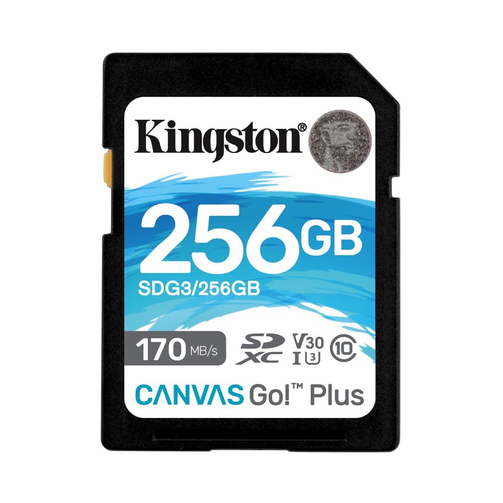 Kingston Canvas Go! Plus SD Memory Card, 256GB - Image 1