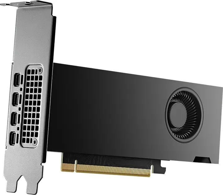 PNY RTX 2000 Ada Generation Graphics Card, 16GB GDDR6 - Image 1