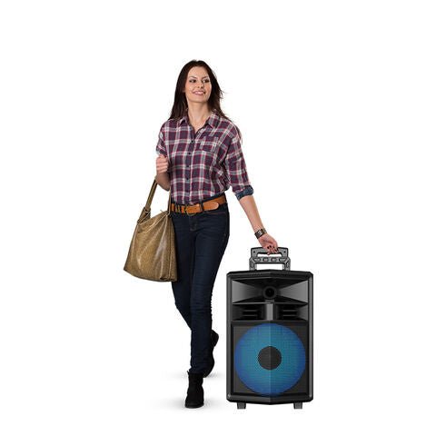 Sing-E ZQS12130 Speaker, 12 inch, 40W, Super Bass, Karaoke - Thumbnail 4