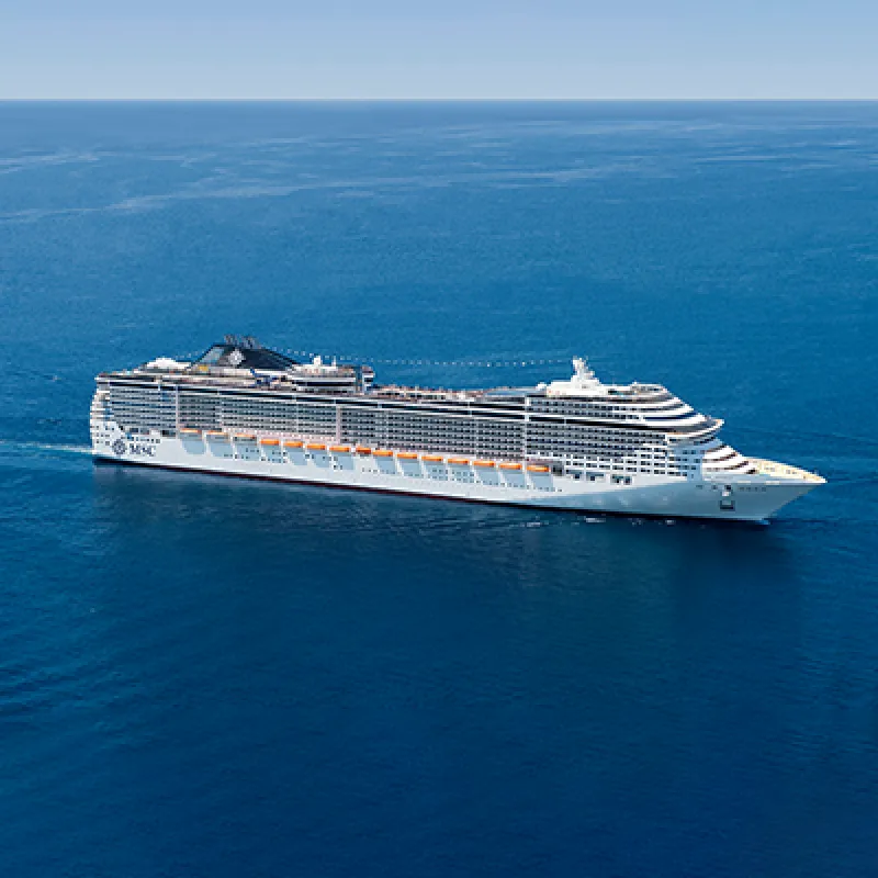 Msc divina cover image