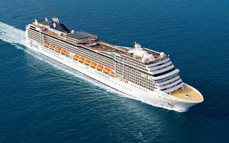 Msc magnifica cover image