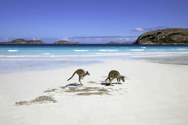 Itinerary map of Pacific Ocean and Australia
                                in partenza da
                                Sydney - australia