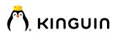 Kinguin DE Image