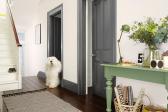 Dulux Image
