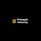 Pineapple Nation Image