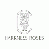 Harkness Roses Image