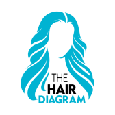 The Hair Diagram (US) Image