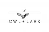 Owl + Lark Image