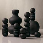 KLEOS+KLEA (US) Image