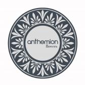 Anthemion Flowers (US) Image