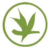 Verdant Tea (US) Image