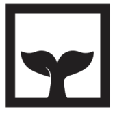 Whalebone (US) Image
