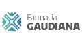 Farmacia Gaudiana IT Image