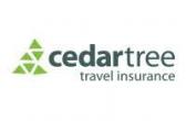 Cedar Tree Travel Insurance Image