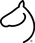 The Gilded Horse Image
