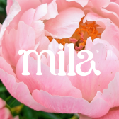 Hey Mila Inc (US) Image