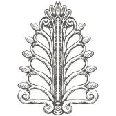 Wild Wholistic (US) Image