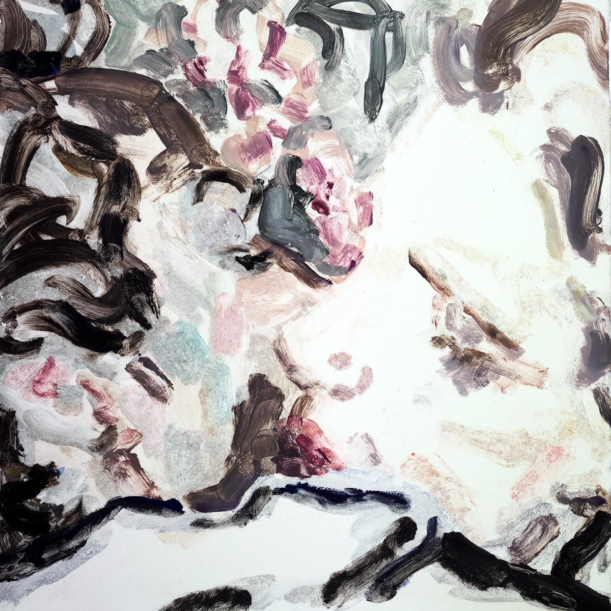 Nieuwe Iceage bijna aangebroken