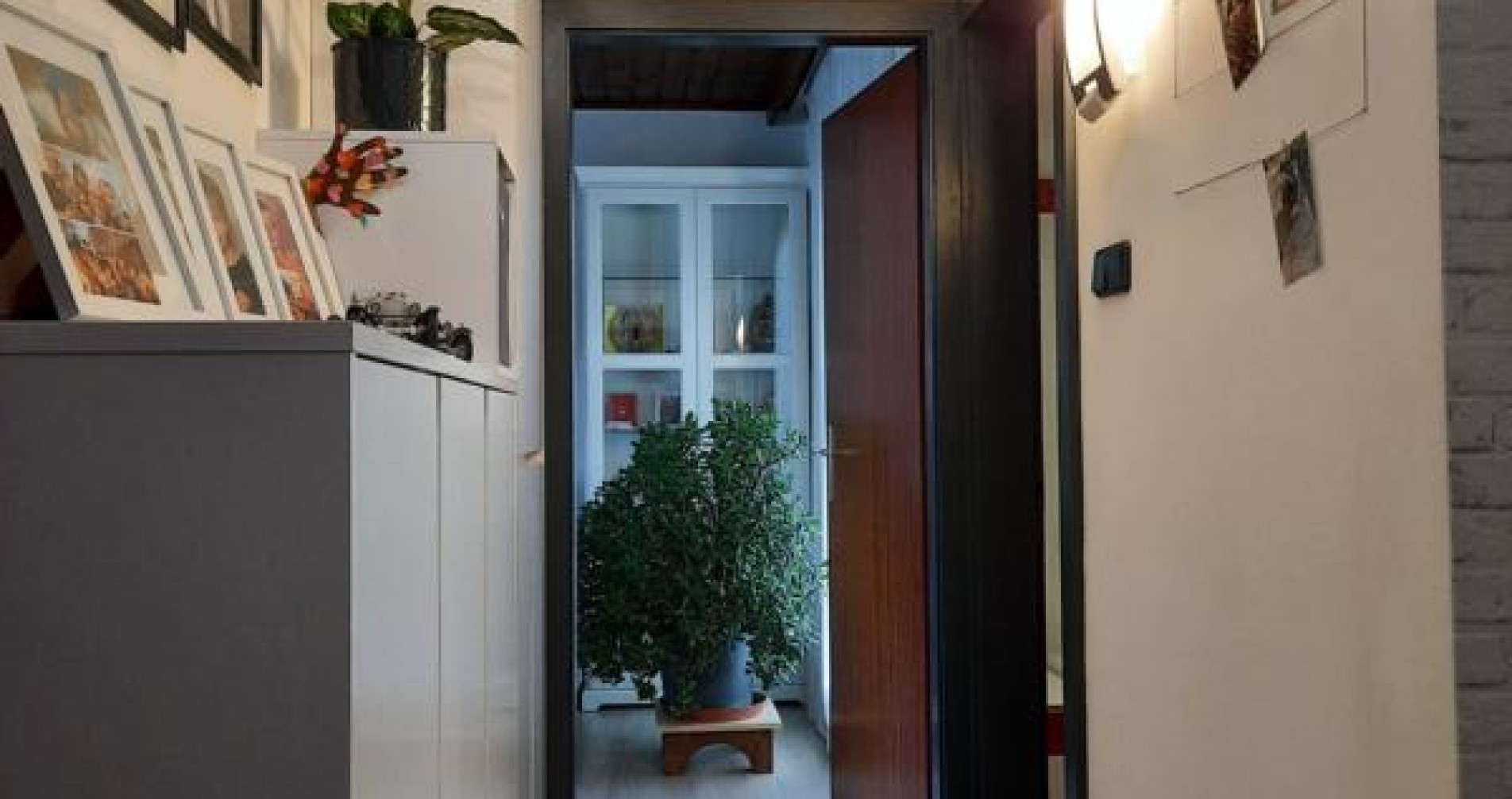 Foto 7