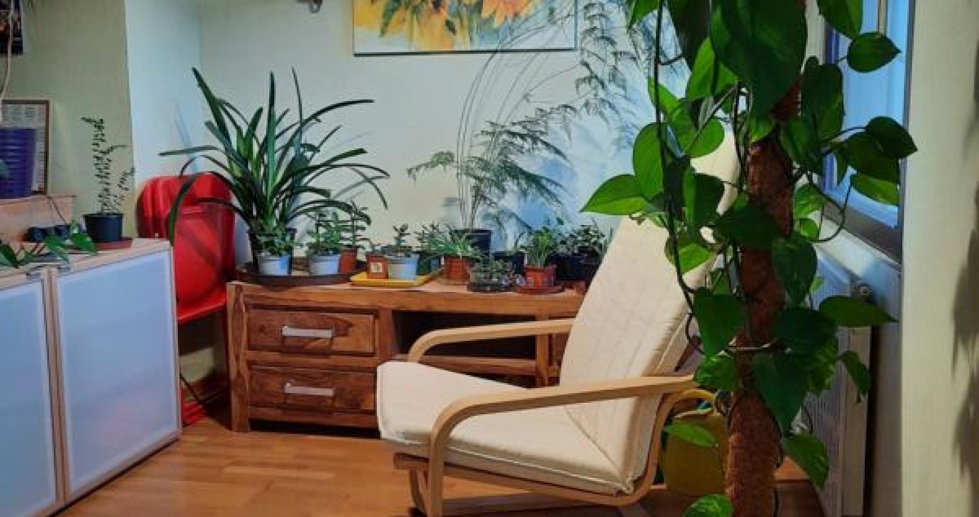 Foto 20