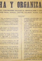 thumbnail of Lucha y organizacion