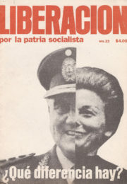 thumbnail of Liberación N° 23