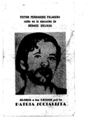 thumbnail of Victor Fernandez Palmeiro