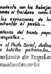 thumbnail of 1973. Peron presidente con los trabajadores. MIR