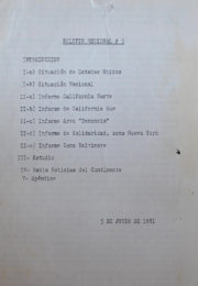 thumbnail of Boletin Regional N 5