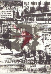 thumbnail of Diez annos de lucha
