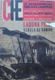 thumbnail of Che N 17