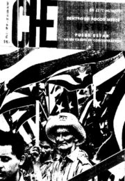 thumbnail of Che N 19