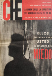 thumbnail of Che N 20