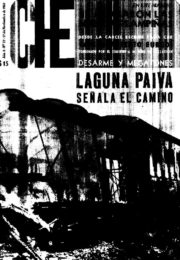 thumbnail of Che N 27