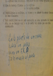 thumbnail of Copla Negro Arroyo