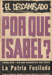 thumbnail of El Descamisado n 13