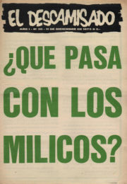 thumbnail of El Descamisado n 30