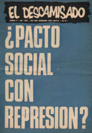 thumbnail of El Descamisado n 35