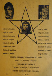 thumbnail of FRP. Vuestro ejemplo es bandera de lucha