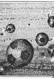 thumbnail of cobo-propaganda-boicot-al-mundial-78-06